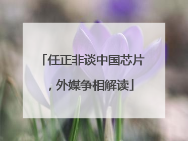 任正非谈中国芯片，外媒争相解读