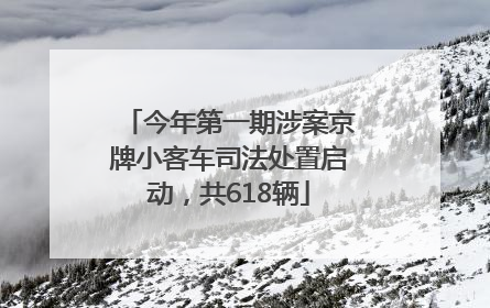 今年第一期涉案京牌小客车司法处置启动，共618辆