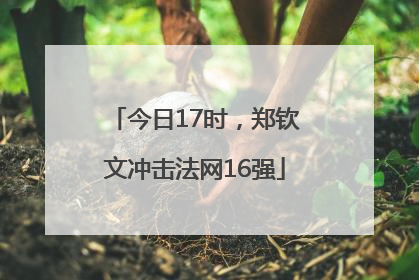 今日17时，郑钦文冲击法网16强