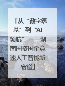 从“数字筑基”到“AI领航”——湖南国资国企竞速人工智能新赛道