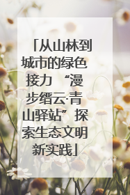 从山林到城市的绿色接力 “漫步缙云·青山驿站”探索生态文明新实践