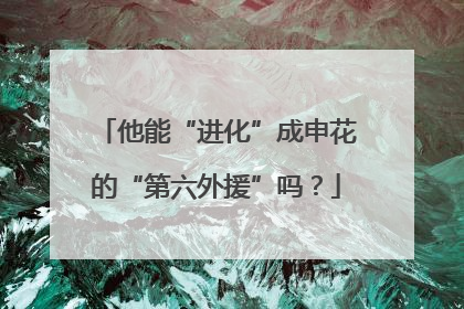 他能“进化”成申花的“第六外援”吗？