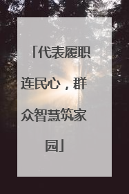 代表履职连民心，群众智慧筑家园