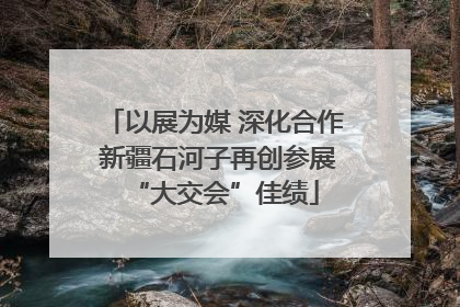 以展为媒 深化合作 新疆石河子再创参展“大交会”佳绩