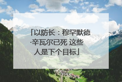 以防长：穆罕默德·辛瓦尔已死 这些人是下个目标