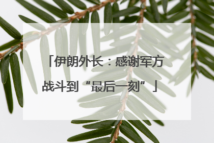 伊朗外长：感谢军方战斗到“最后一刻”