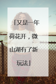 又是一年荷花开，微山湖有了新玩法