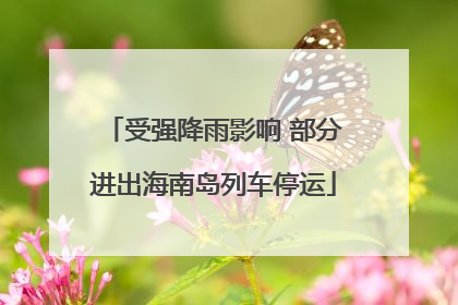 受强降雨影响 部分进出海南岛列车停运