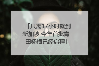 只需17小时就到新加坡 今年首批青田杨梅已经启程