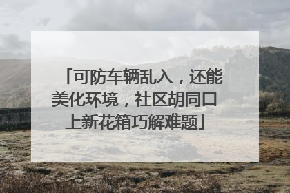 可防车辆乱入，还能美化环境，社区胡同口上新花箱巧解难题