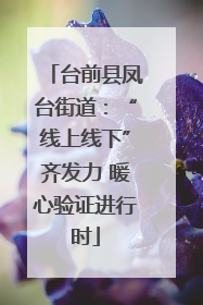 台前县凤台街道：“线上线下”齐发力 暖心验证进行时