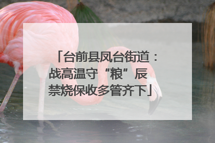 台前县凤台街道：战高温守“粮”辰 禁烧保收多管齐下
