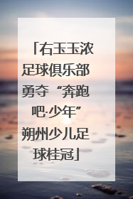 右玉玉浓足球俱乐部勇夺“奔跑吧·少年”朔州少儿足球桂冠
