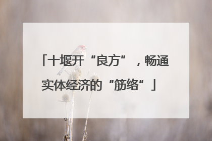 十堰开“良方”，畅通实体经济的“筋络”