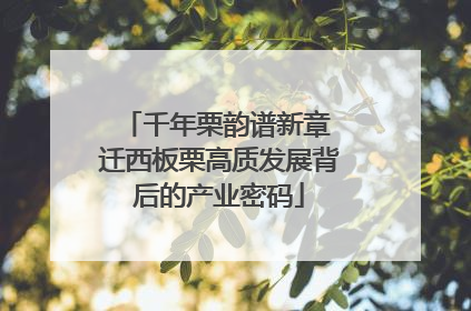 千年栗韵谱新章 迁西板栗高质发展背后的产业密码