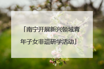 南宁开展新兴领域青年子女非遗研学活动