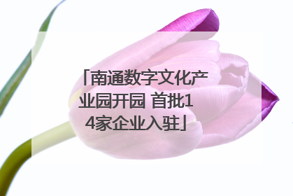 南通数字文化产业园开园 首批14家企业入驻
