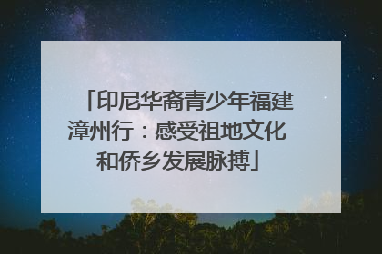 印尼华裔青少年福建漳州行：感受祖地文化和侨乡发展脉搏