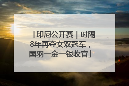 印尼公开赛｜时隔8年再夺女双冠军，国羽一金一银收官
