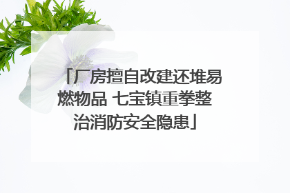 厂房擅自改建还堆易燃物品 七宝镇重拳整治消防安全隐患