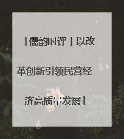 儒韵时评丨以改革创新引领民营经济高质量发展