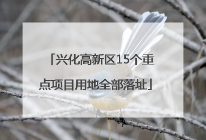兴化高新区15个重点项目用地全部落址