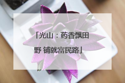 光山：药香飘田野 铺就富民路