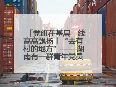 党旗在基层一线高高飘扬丨“去有村的地方”——湖南有一群青年党员这样选择