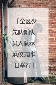 全区少先队新队员入队示范仪式昨日举行