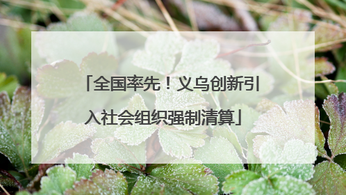 全国率先！义乌创新引入社会组织强制清算