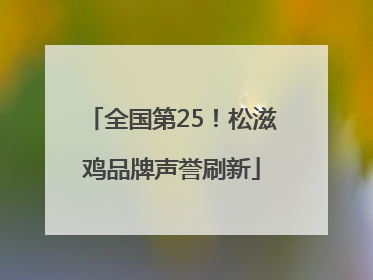 全国第25！松滋鸡品牌声誉刷新