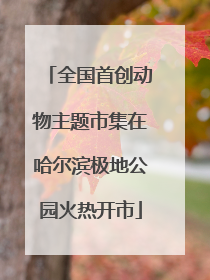 全国首创动物主题市集在哈尔滨极地公园火热开市