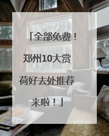 全部免费！郑州10大赏荷好去处推荐来啦！