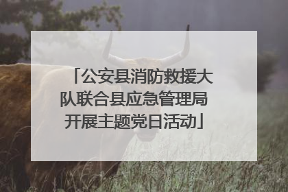 公安县消防救援大队联合县应急管理局开展主题党日活动