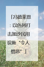 冯德莱恩：以色列打击加沙民用设施“令人憎恶”