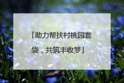 助力帮扶村桃园套袋，共筑丰收梦