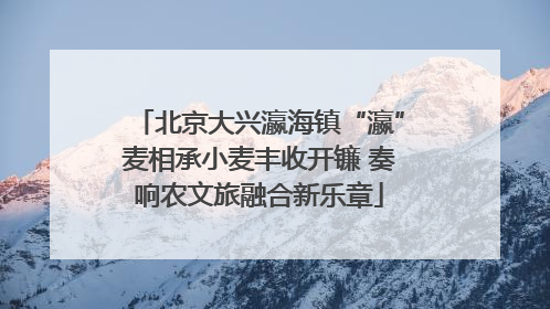 北京大兴瀛海镇“瀛”麦相承小麦丰收开镰 奏响农文旅融合新乐章