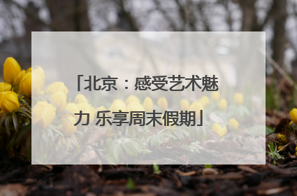 北京：感受艺术魅力 乐享周末假期