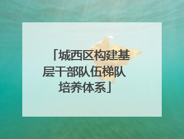 城西区构建基层干部队伍梯队培养体系