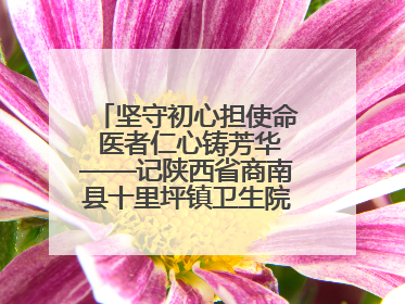 坚守初心担使命 医者仁心铸芳华——记陕西省商南县十里坪镇卫生院副院长贾胡委