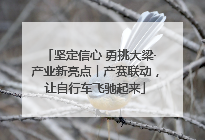 坚定信心 勇挑大梁·产业新亮点丨产赛联动，让自行车飞驰起来
