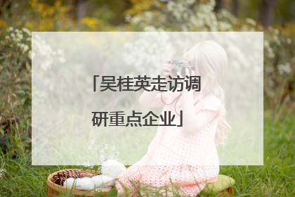 吴桂英走访调研重点企业