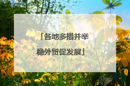 各地多措并举稳外贸促发展
