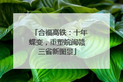 合福高铁：十年蝶变，重塑皖闽赣三省新图景