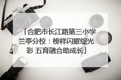 合肥市长江路第三小学兰亭分校：榜样闪耀绽光彩 五育融合助成长