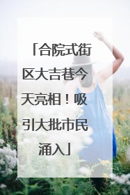合院式街区大吉巷今天亮相！吸引大批市民涌入