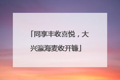 同享丰收喜悦，大兴瀛海麦收开镰