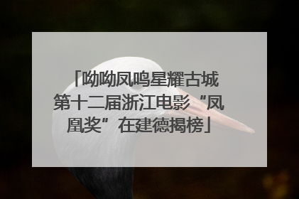 呦呦凤鸣星耀古城 第十二届浙江电影“凤凰奖”在建德揭榜