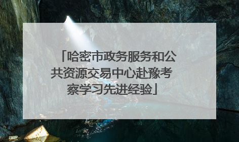 哈密市政务服务和公共资源交易中心赴豫考察学习先进经验