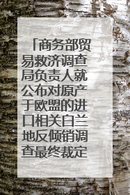 商务部贸易救济调查局负责人就公布对原产于欧盟的进口相关白兰地反倾销调查最终裁定答记者问